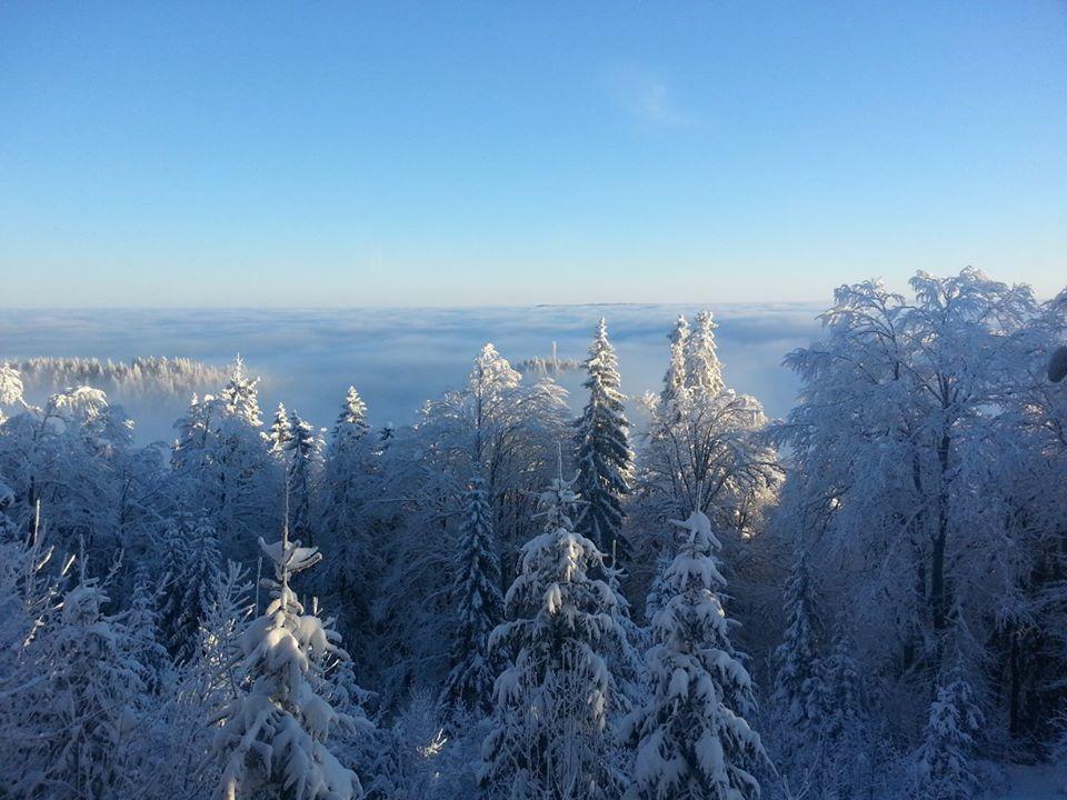 Chalet Baluma Maluba Jahorina Luaran gambar